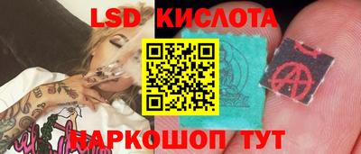 спайс Будённовск