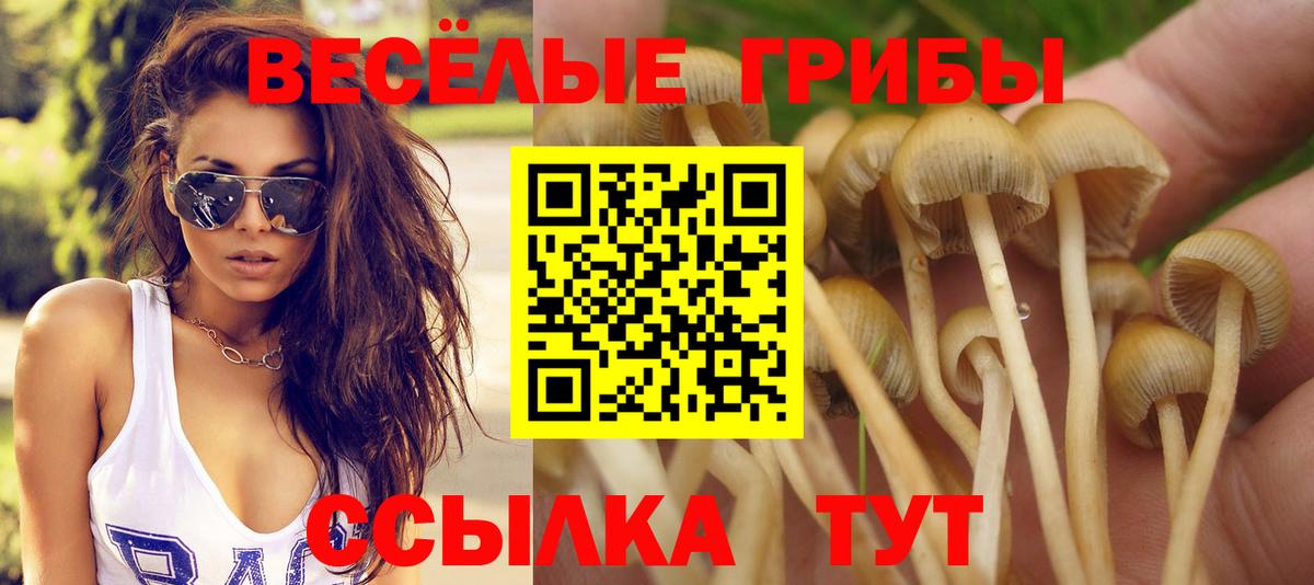 Галлюциногенные грибы Magic Shrooms Новочебоксарск