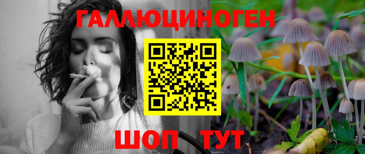 Псилоцибиновые грибы Psilocybe  Галлюциногенные грибы Cubensis  продажа наркотиков  Вход с VPN  Новочебоксарск 