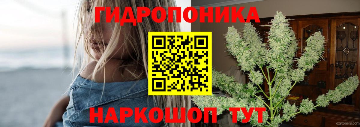 Канабис White Widow  МАРИХУАНА сатива  Бошки Шишки Bruce Banner  Вход с VPN  Новочебоксарск 